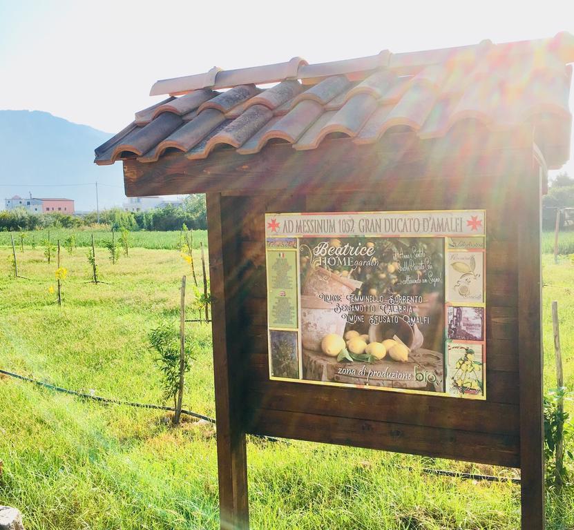 Beatrice Home Pompei Ngoại thất bức ảnh